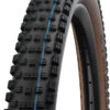 Schwalbe Wicked Will Evo Super Race 29x2,40" Addix SpeedGrip E-50 Pneus Pliants 1 Schwalbe Wicked Will Evo Super Race 29x2,40" Addix SpeedGrip E-50 Pneus Pliants -Magasin D'Équipement De Vélo hs614 schwalbe wicked will speedgrip bronze standardiNK0pYEIMqMrg